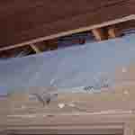 Windows & Doors&nbsp;