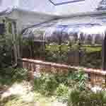 Pool Enclosures & Screen Rooms&nbsp;